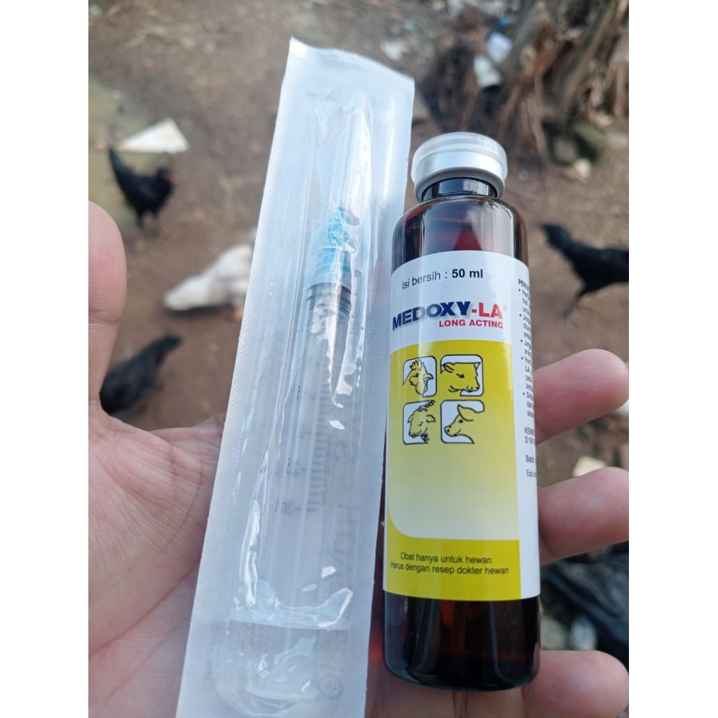 MEDOXY -LA 50 ml gratis spet 3 CC obat untuk hewan sakit parah, kambing sapi kerbau babi dan unggas