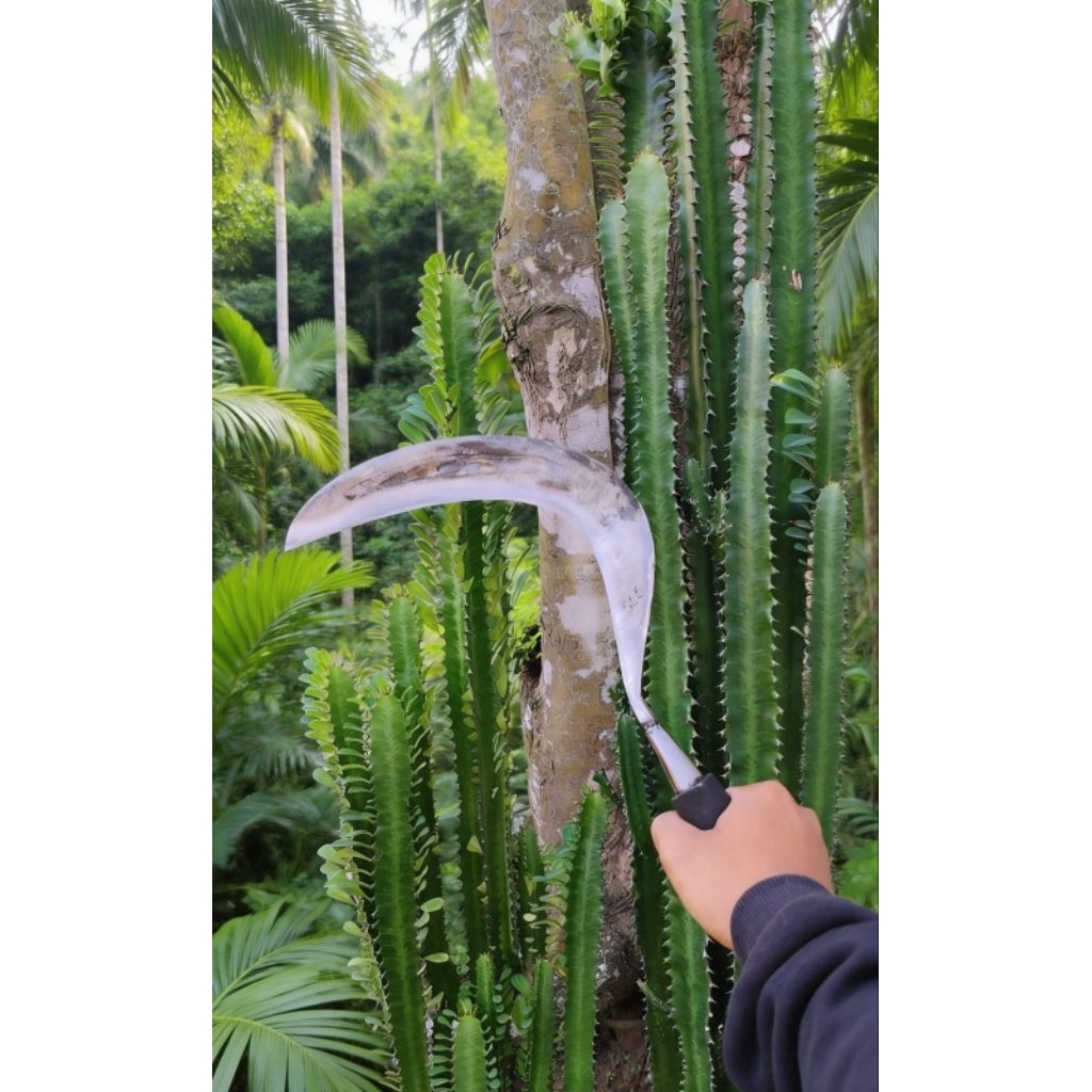 arit rumput baja isen