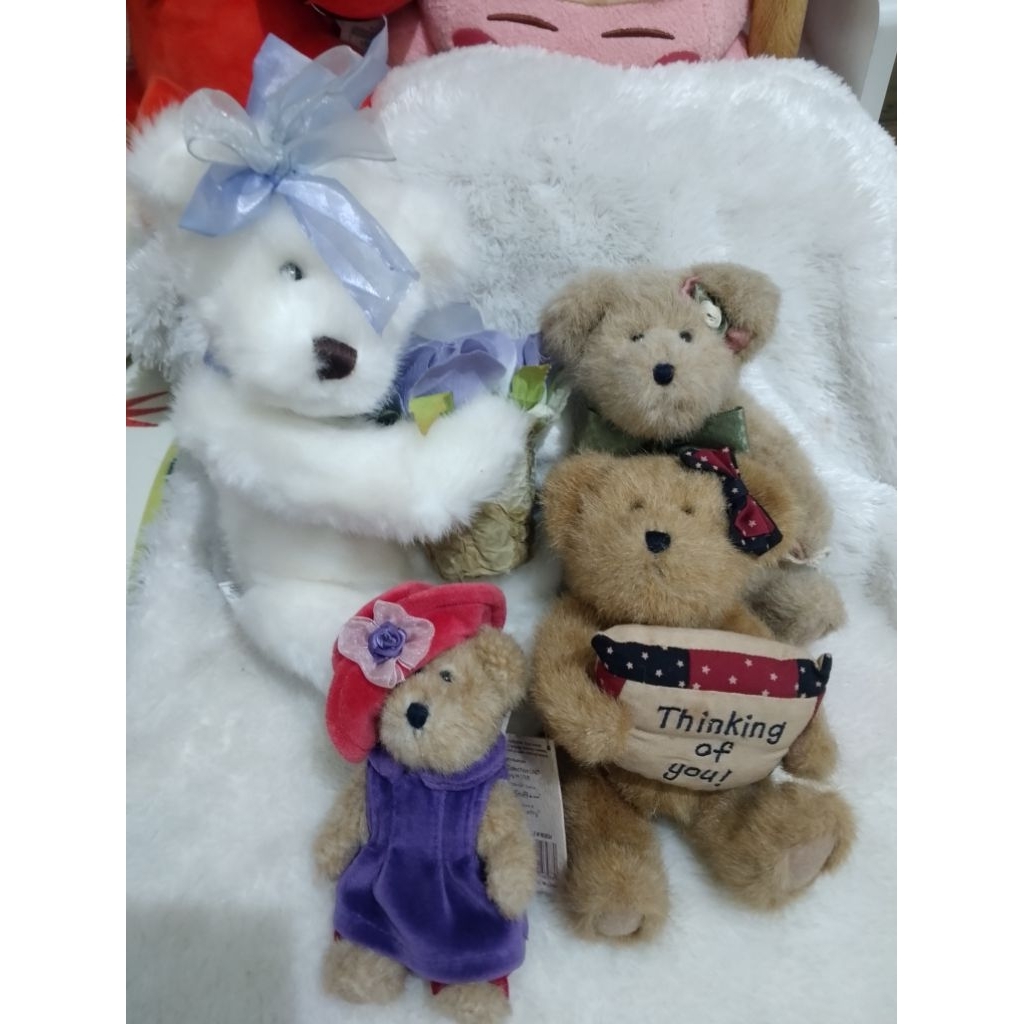 Teddy the Boyds