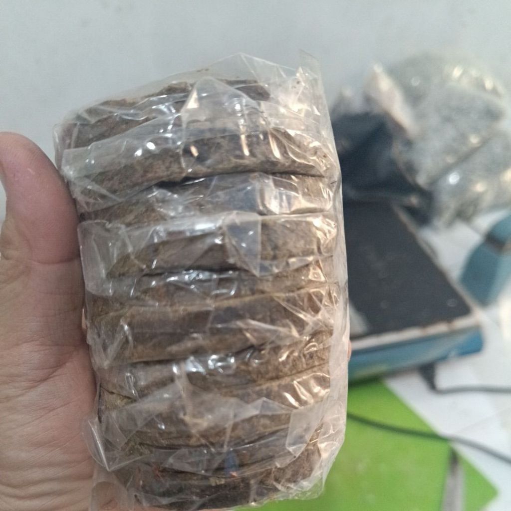 Terasi asli tanjung balai
