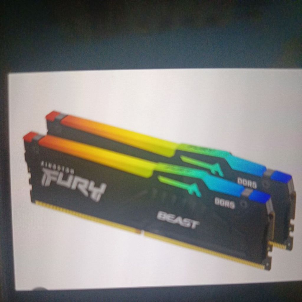 Kingston FURY Beast RGB