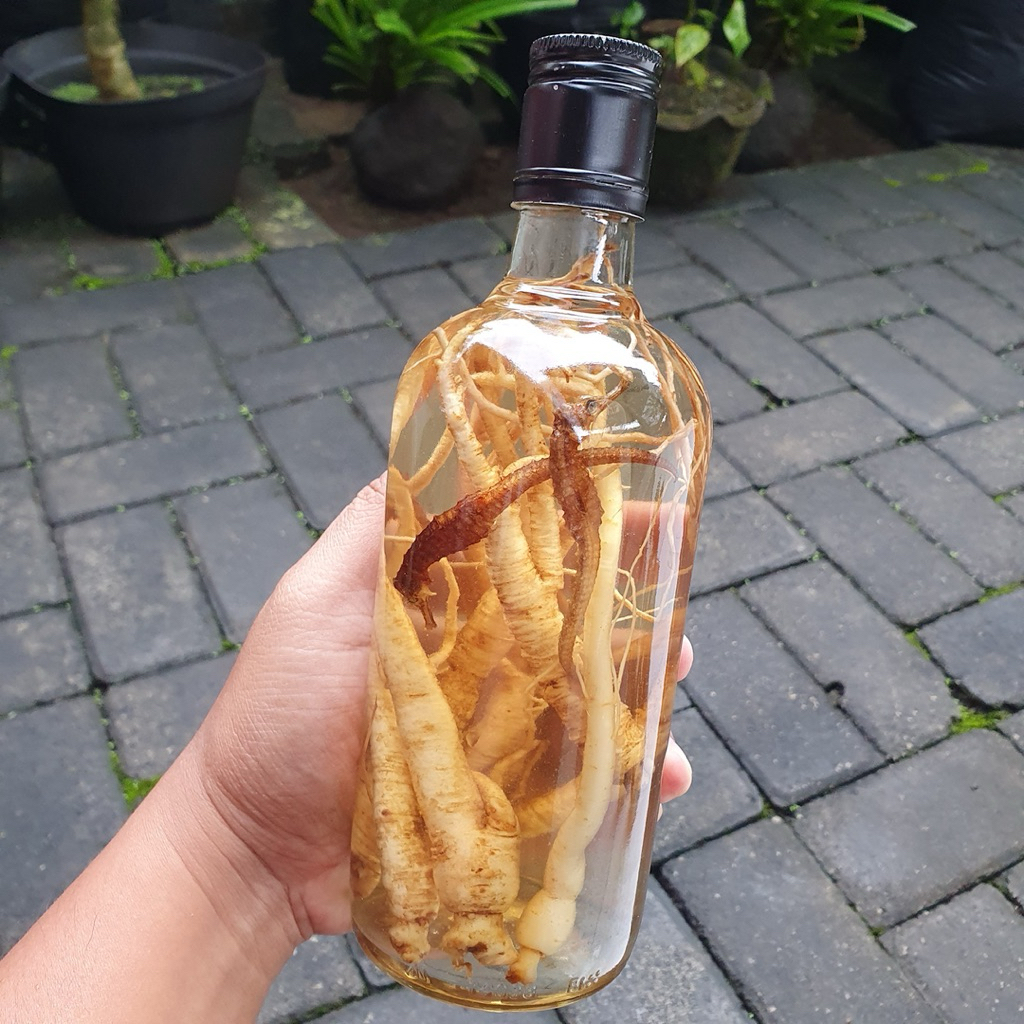 botol kaca ginseng + kudalaut