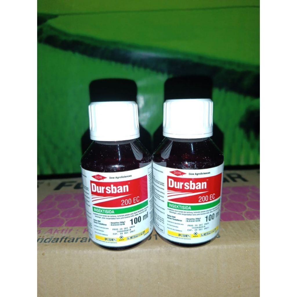 insektisida dursban 100 ml