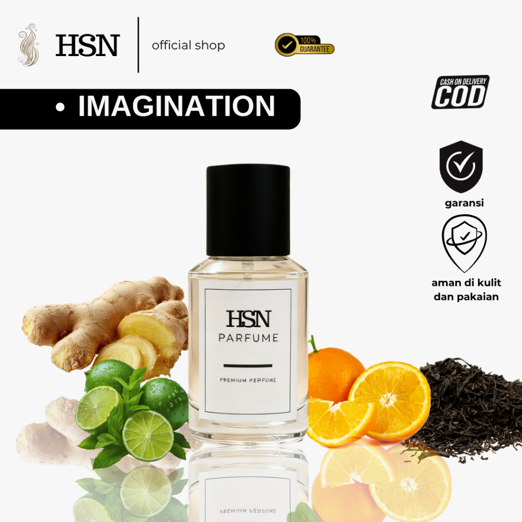 HSN Parfume ELV IMAGINATION - Parfum Pria Aroma Amber Citrus dan Fresh