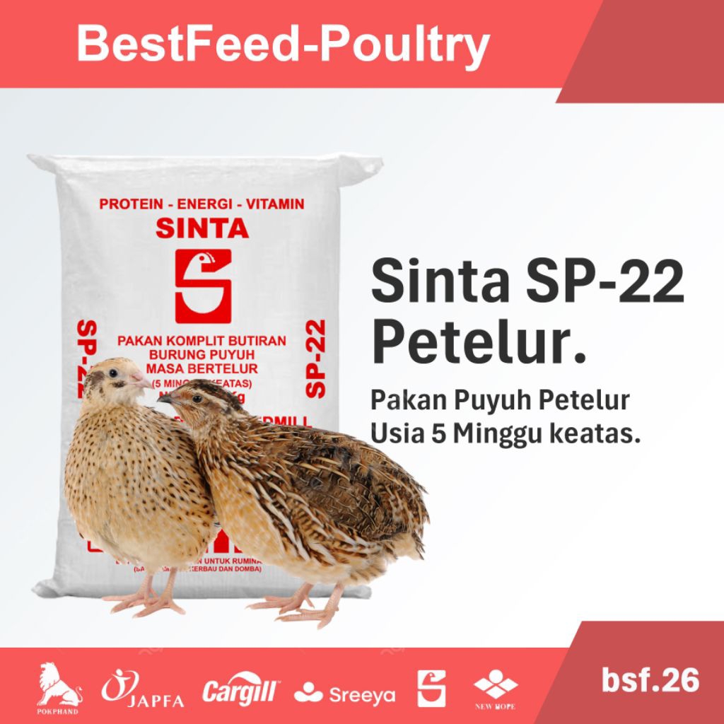 Pakan Puyuh Petelur Sinta SP-22 Berat 5kg dan 10 kg