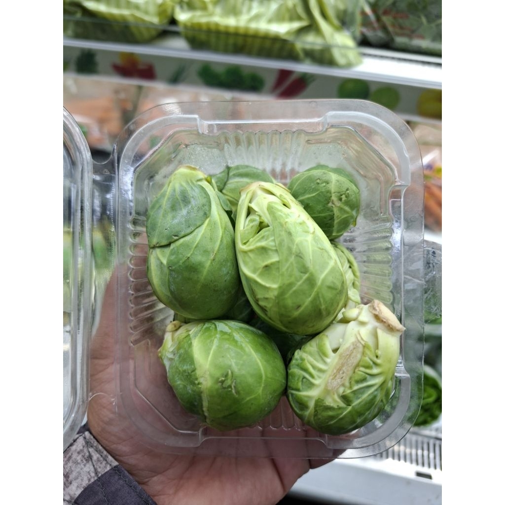 Brussel sprouts Australia fresh | sayur brussel | kubis mini import Australia / pack