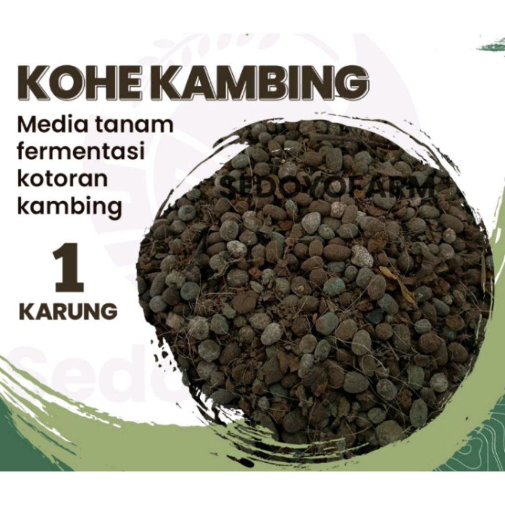 Media Tanam Kohe Kambing Murni 100% Murni - Kohe Kambing Murni Penyubur Tanaman Mempercepat Pertumbu