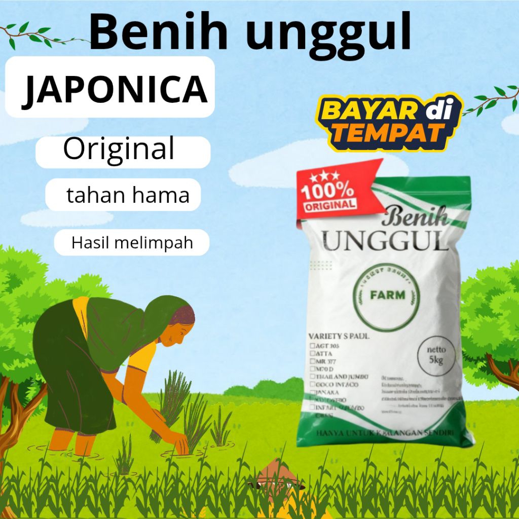benih unggul padi Japonica 5kg