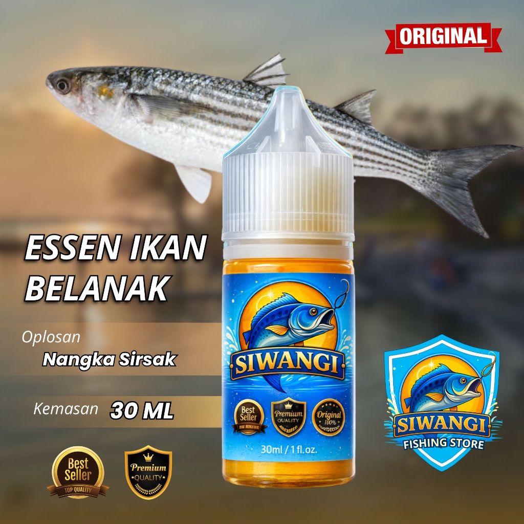 Essen Ikan Belanak Besar/Mangse Aroma Amis Wangi Aroma Paling Gacor