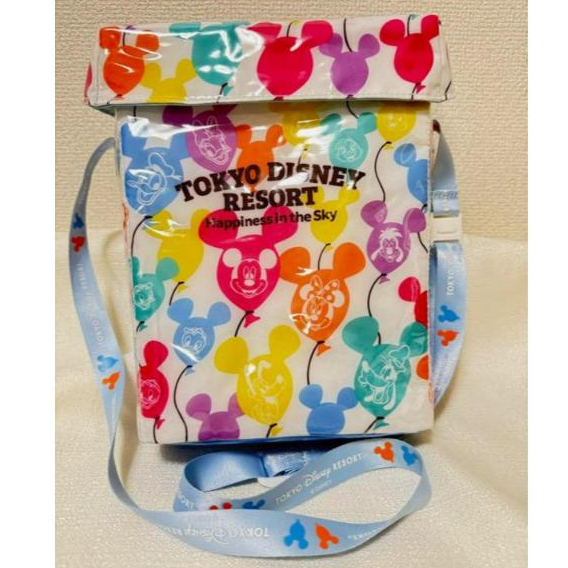 TOKYO DISNEY RESORT POPCORN CASE BUCKET 100% ORIGINAL DISNEYLAND JAPAN