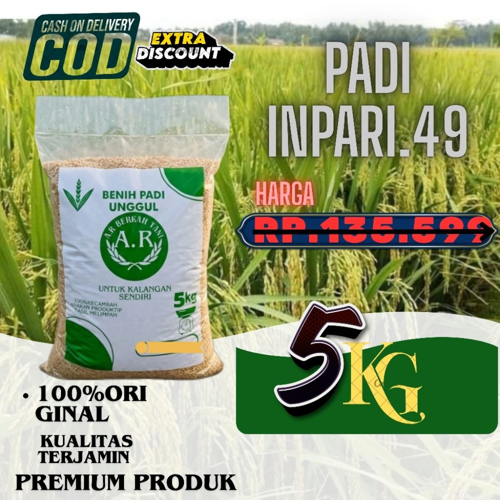 INPARI 49 BIBIT PADI UNGGUL BENIH PADI BERKUALITAS PREMIUM KEMASAN 5KG