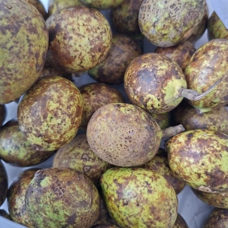 Buah Matoa super | Buah matoa fresh manis / 1 kg