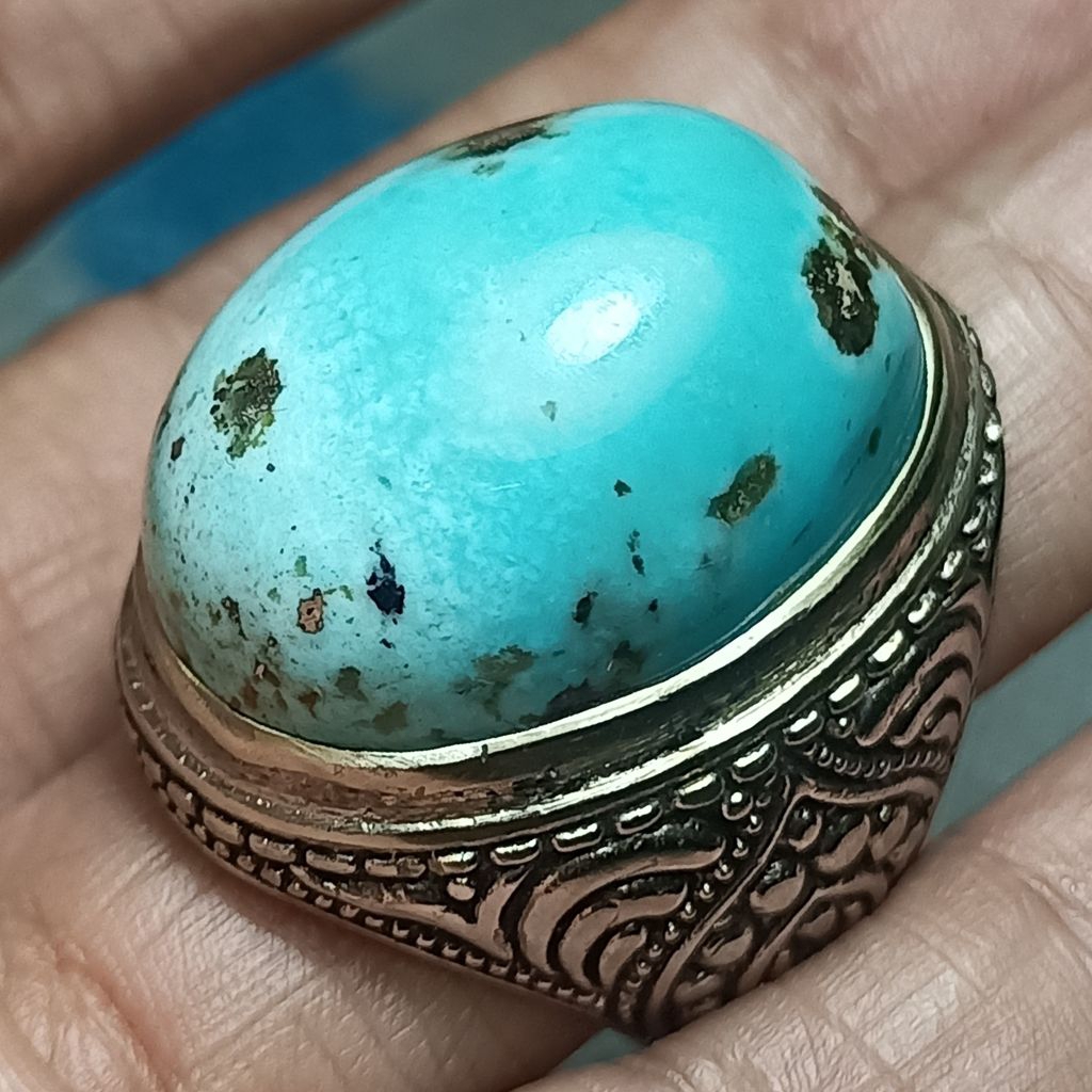 Pirus persia biru tosca mumbul