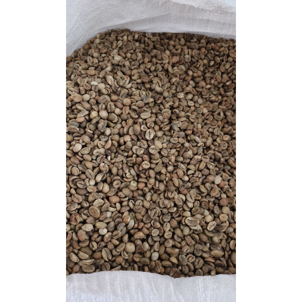 Biji Kopi Robusta Kerinci