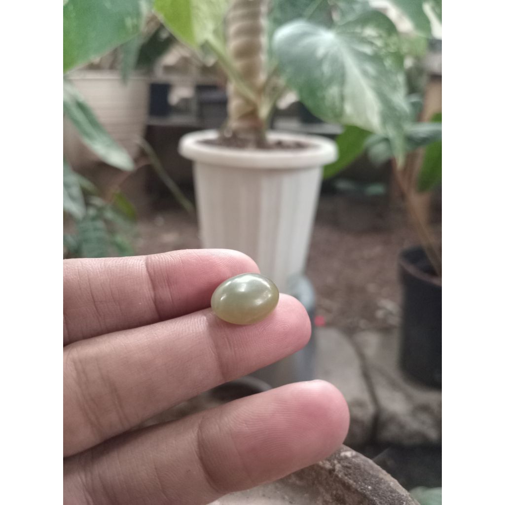 Batu Akik Bacan / Red Raflesia / Solar / Ijo Garut / biosolar aceh