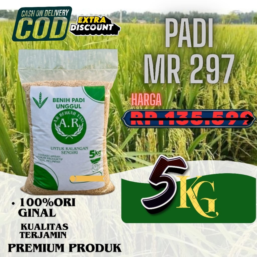 MR 297 BIBIT PADI UNGGUL BENIH PADI BERKUALITAS PREMIUM