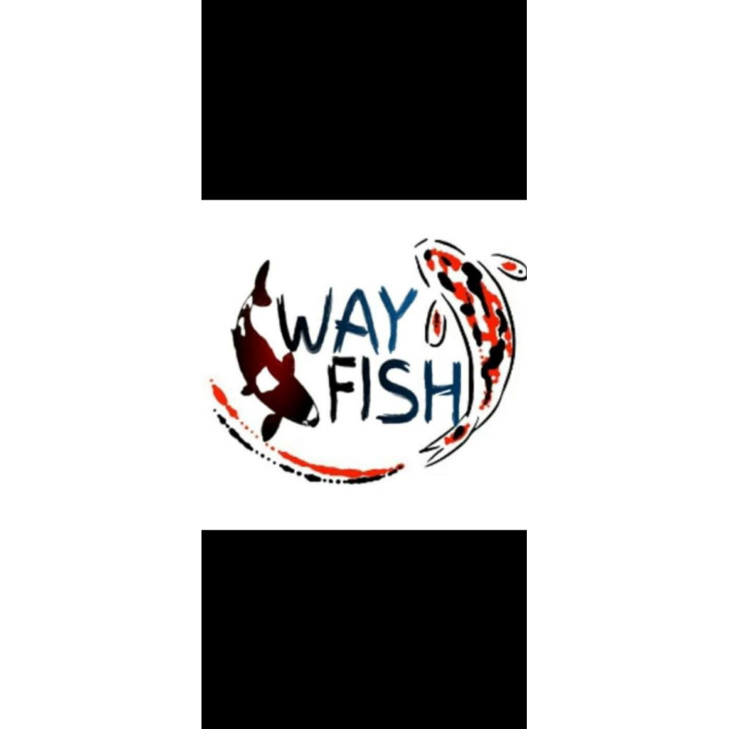 IKAN KOI BIBIT BLITAR SZ9-10CM