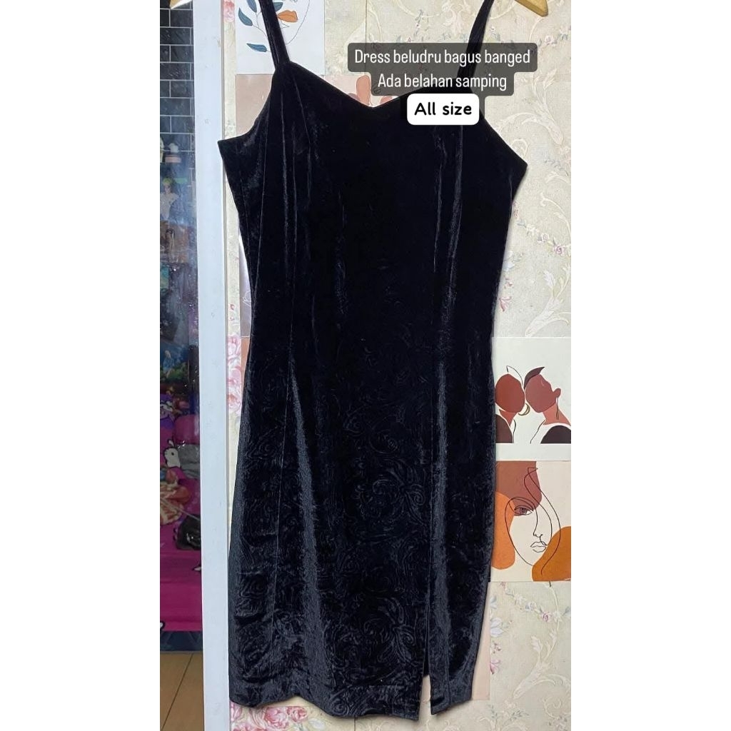 dress bludru