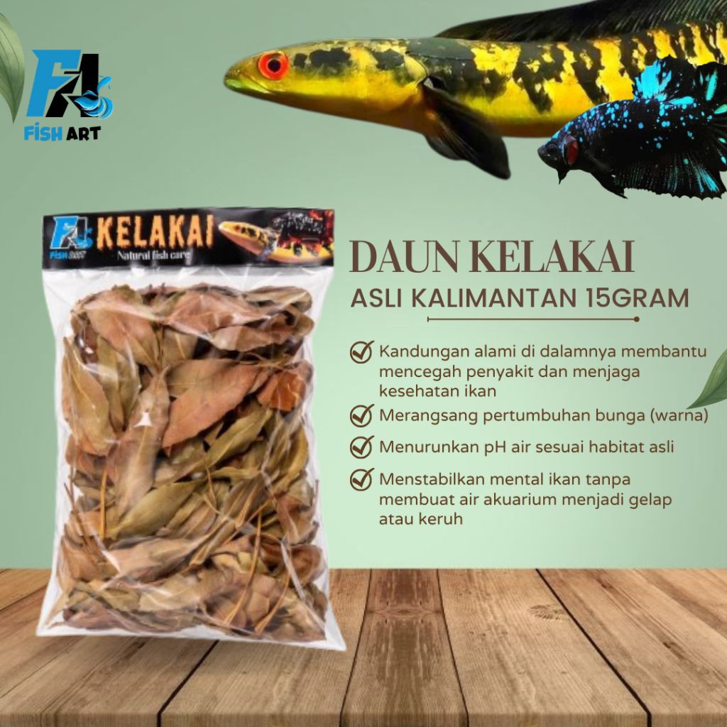 Daun Kelakai 15gr Asli Kalimantan Untuk Ikan Channa dan Cupang