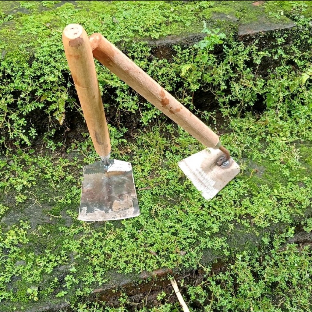 Wangkil Kecil dan BESAR