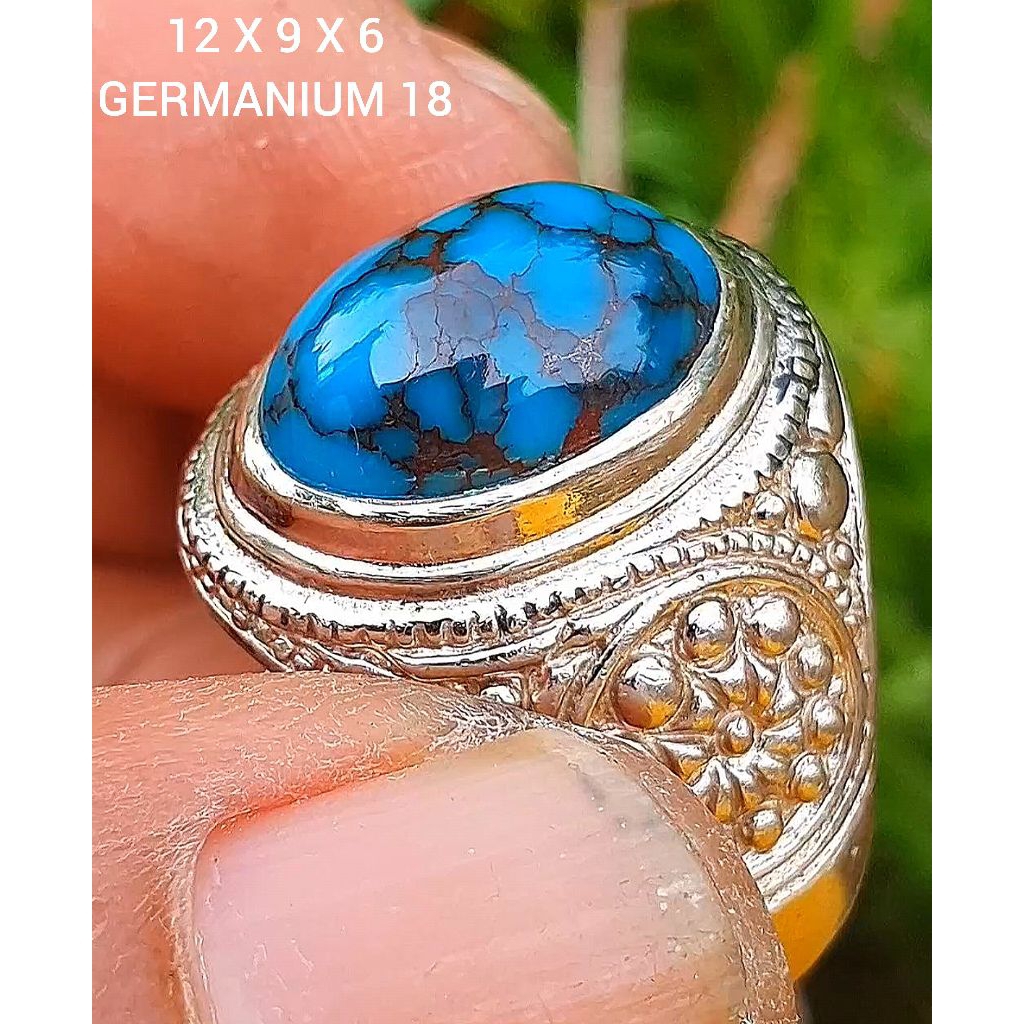 pirus mesir lawasan 3 royalblue