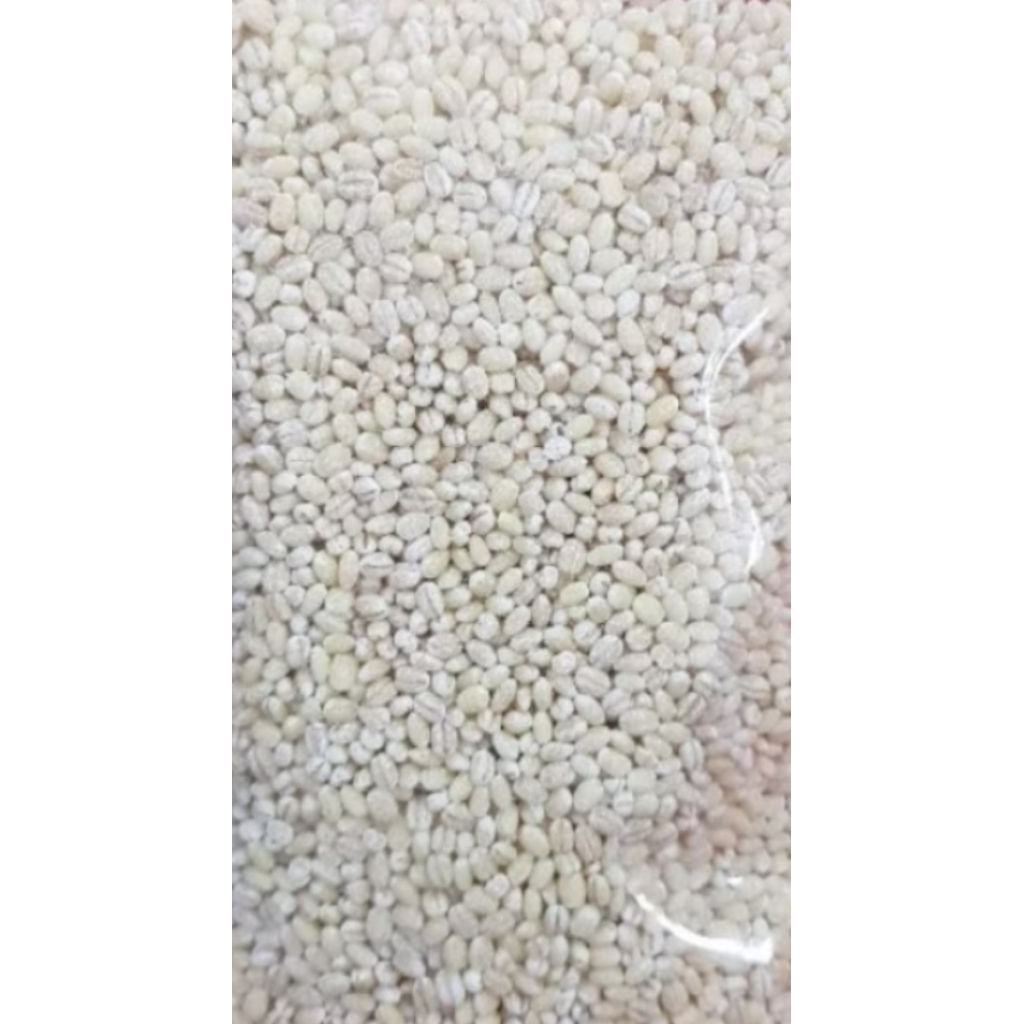 Biji Barley Super Putih Kecil Barley Biji Jali Jali 500gr