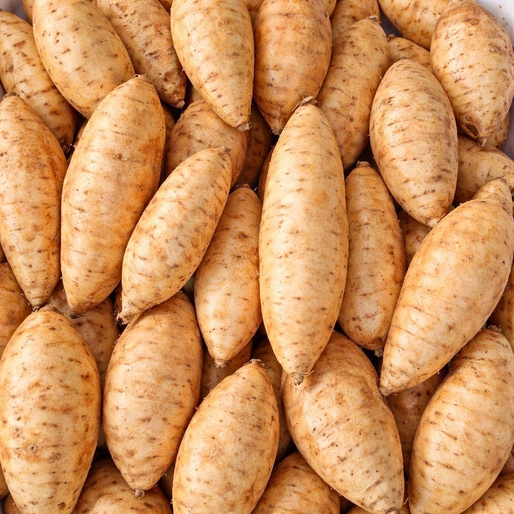 UBI CILEMBU MADU ASLI 1Kg Mentah | Asli Cilembu - Sumedang  langsung dari kebun petani
