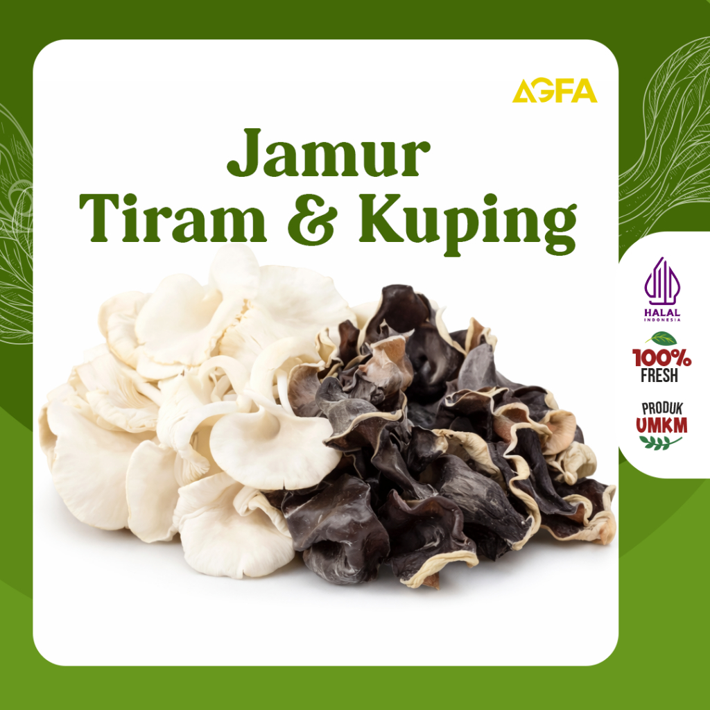 Jamur Tiram / Jamur Kuping / Jamur kuping hitam kering / premium dried black fungus herbal asli / Ju
