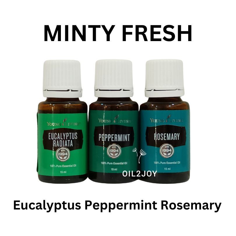 Minty Fresh Eucalyptus Radiata Peppermint Rosemary YL YLEO Essential Oil 5ml 10ml 15ml Blend