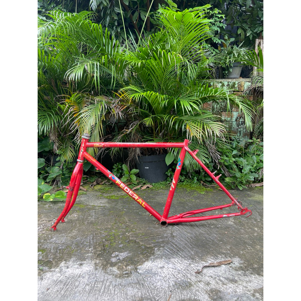 federal streetcat 19.5”