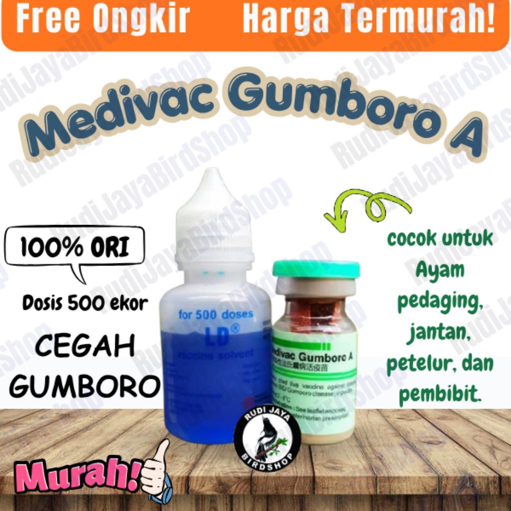 VAKSIN AYAM MEDIVAC GUMBORO A 500DS VAKSIN AYAM USIA 7 HARI MENCEGAH AYAM UNGGAS SAKIT GUMBORO