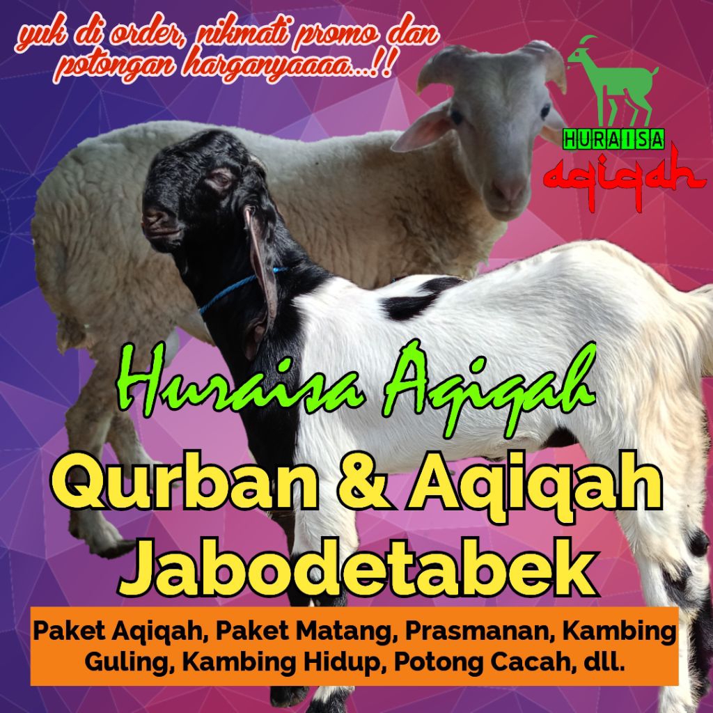 kambing qurban / kambing hidup / kambing potong cacah / domba hidup / kambing murah / domba murah / 