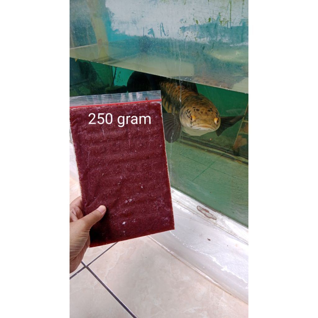 Cacing Darah Beku 250gr  & 200 gr- Tanpa Pengawet, Segar, Cocok untuk Ikan Hias