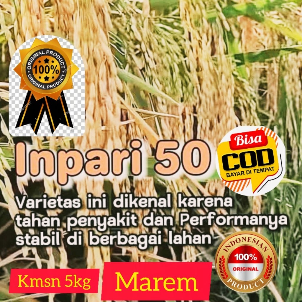 BENIH PADI SUPER UNGGUL INPARI 50 KMSN 5 KG