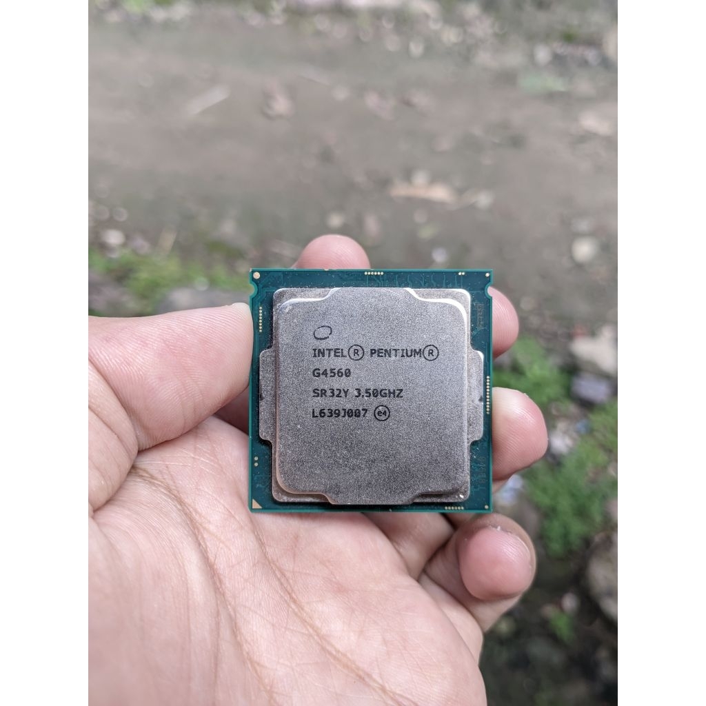 Processor Intel G4560