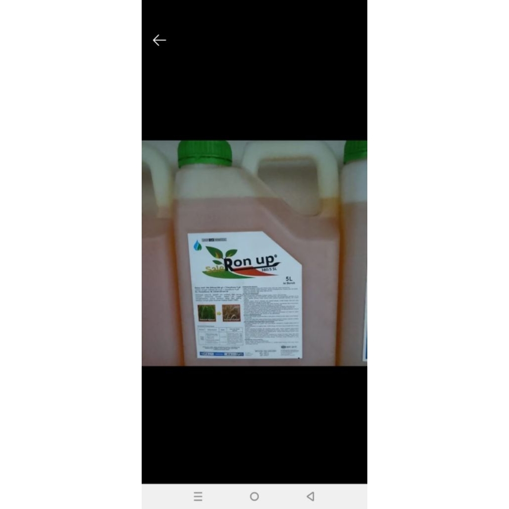Racun rumput Saleron Up 380/5 SL 5 Liter