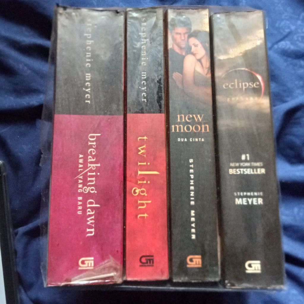 Novel Twilight satu set
