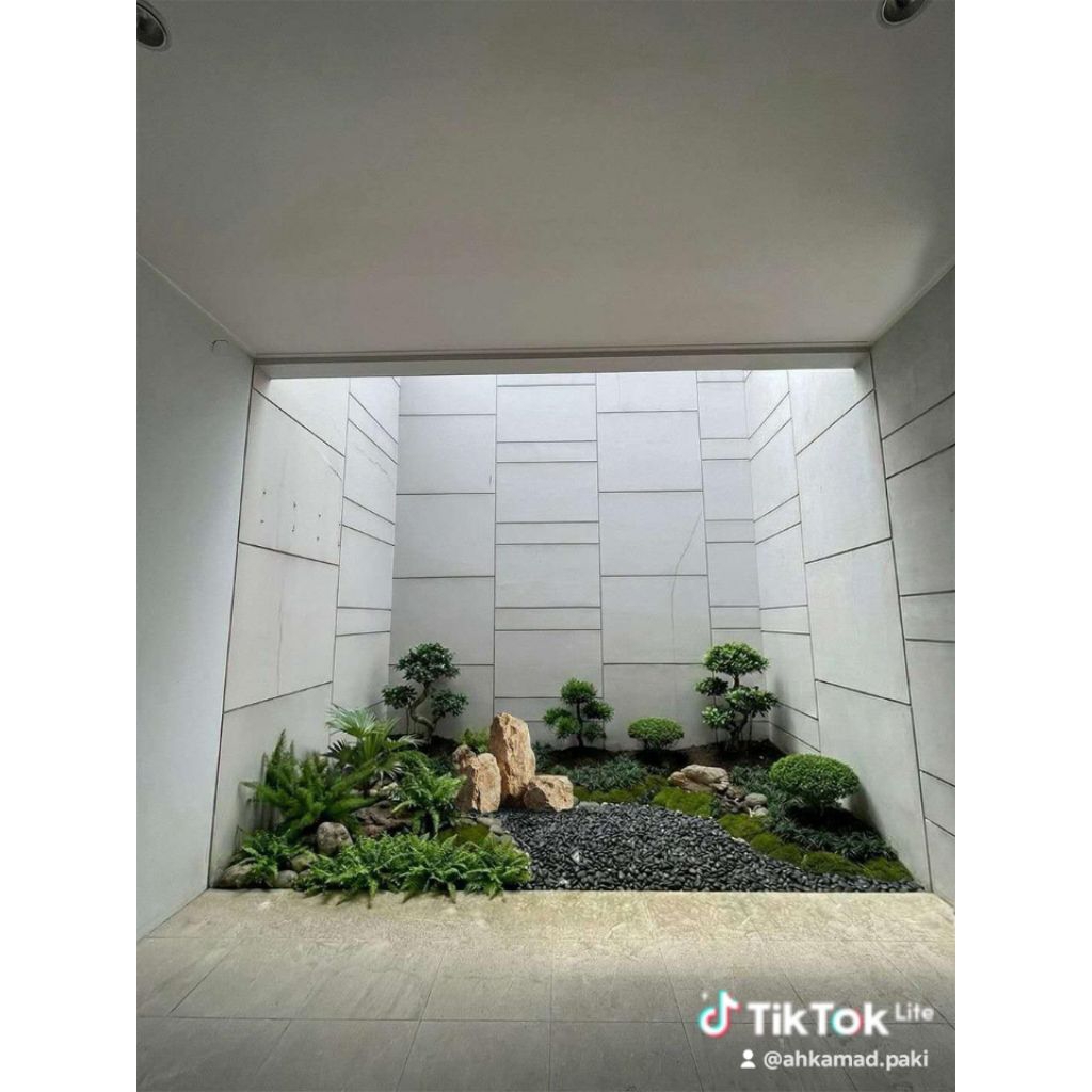 taman kering bunga hias bonsai belakang rumah batu