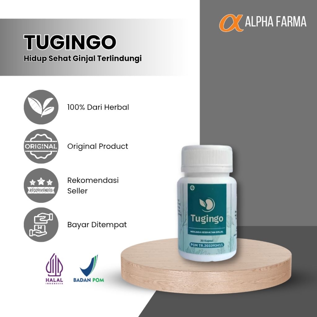 TUGINGO Asli Original Herbal Cina Sembuhkan Batu Ginjal Dan Sakit Pinggang