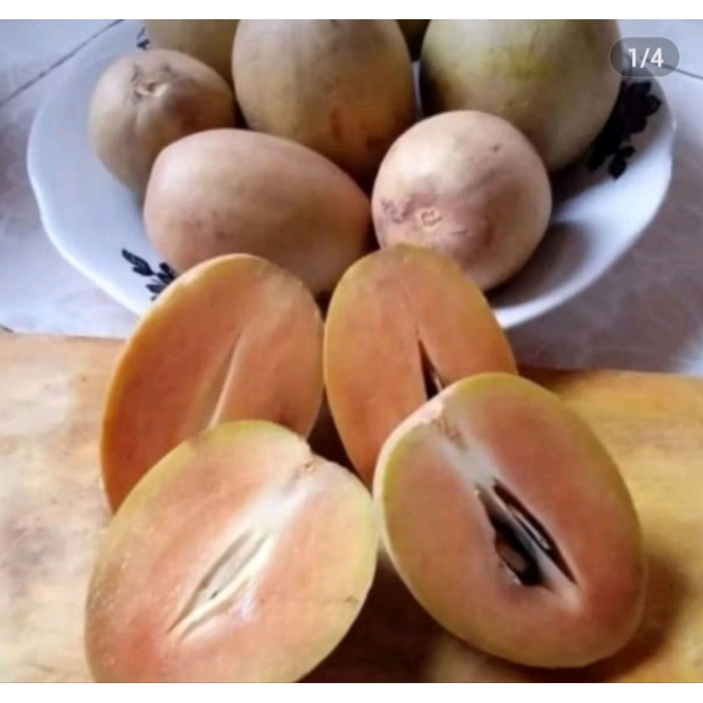 buah sawo si madu, rasanya manis lembut di lidah, 1kg