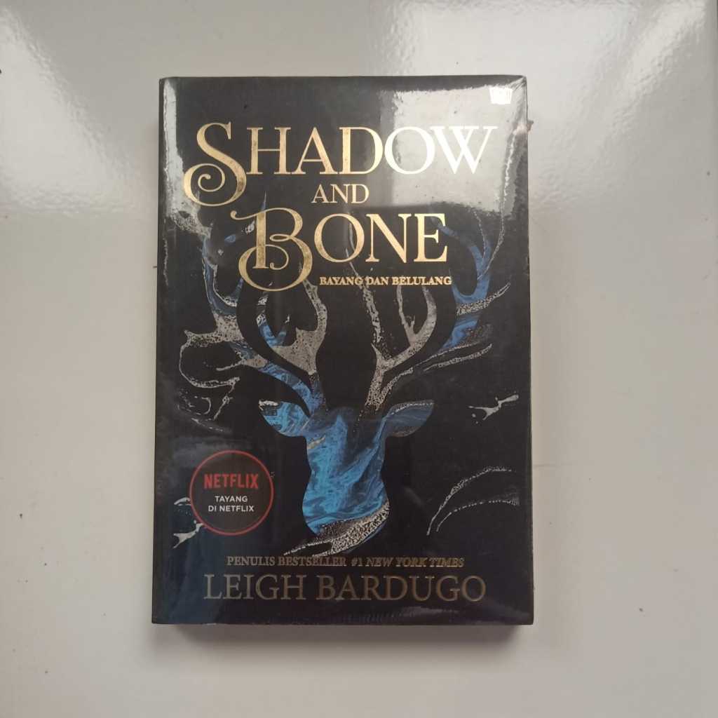 SHADOW & BONE - Leigh Berdugo, Preloved Buku Fiksi