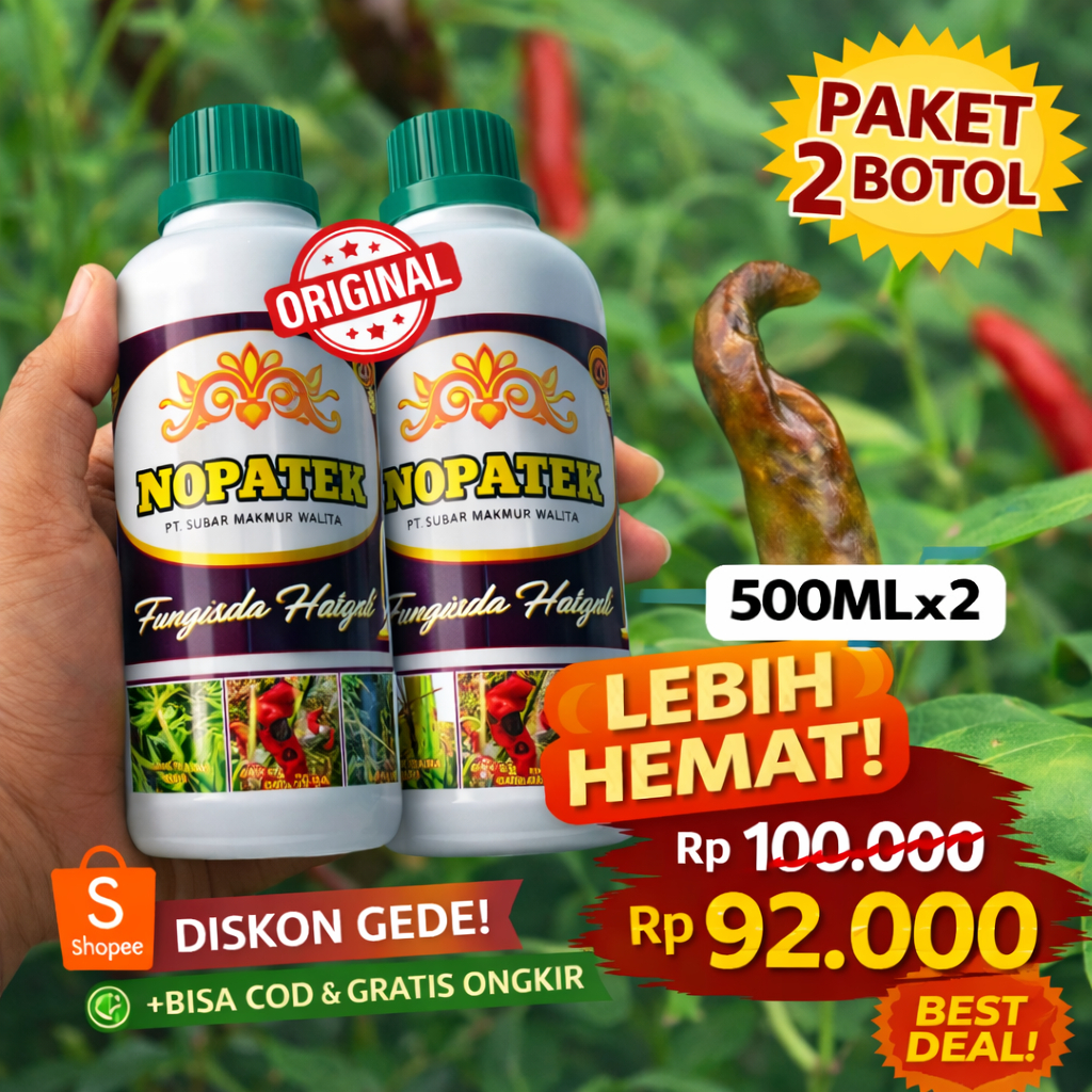 Fungisida Hayati Cabe NOPATEK 2x500ml Obat Patek Antraknosa Cabe Ampuh
