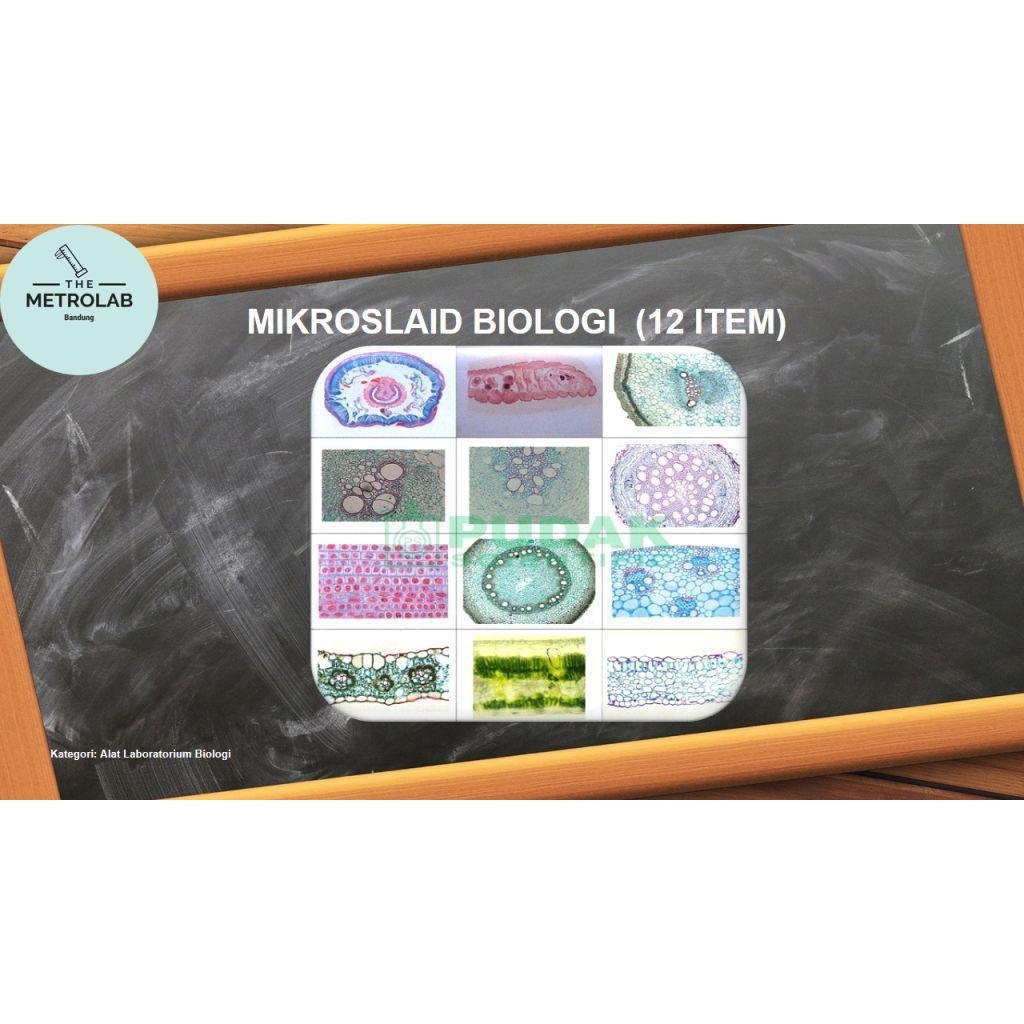 Set Mikroslaid Biologi | Preparat Biologi | 12 item
