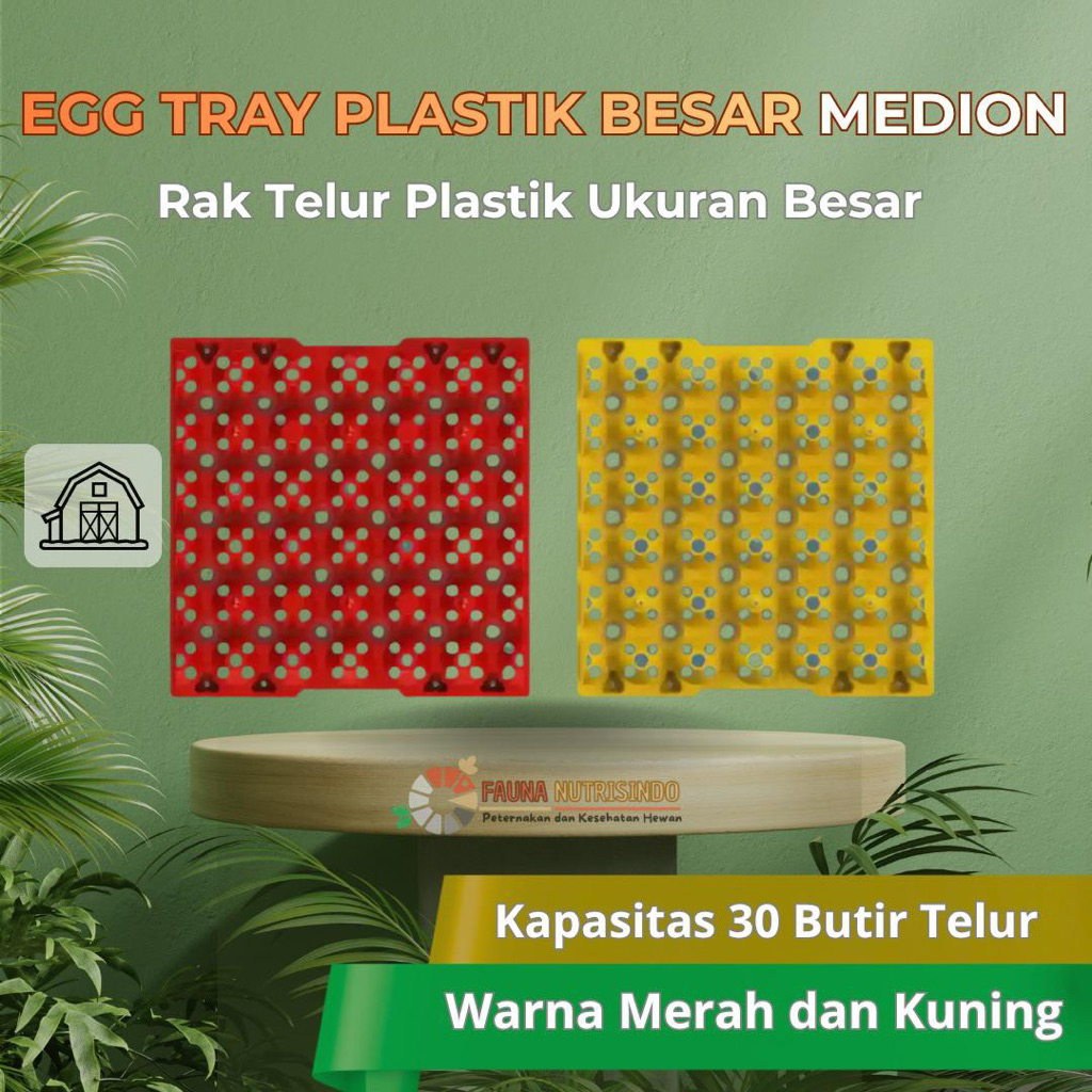 Egg Tray Plastik untuk Telur BESAR MEDION
