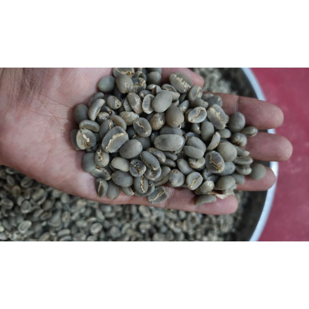 Green bean Arabika Enrekang kalosi full wash