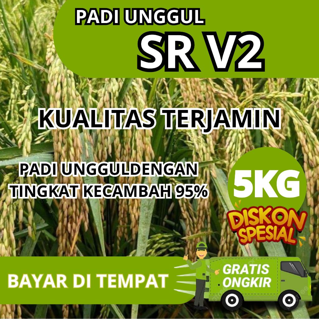 benih padi SR V2 super genjah premium 5kg