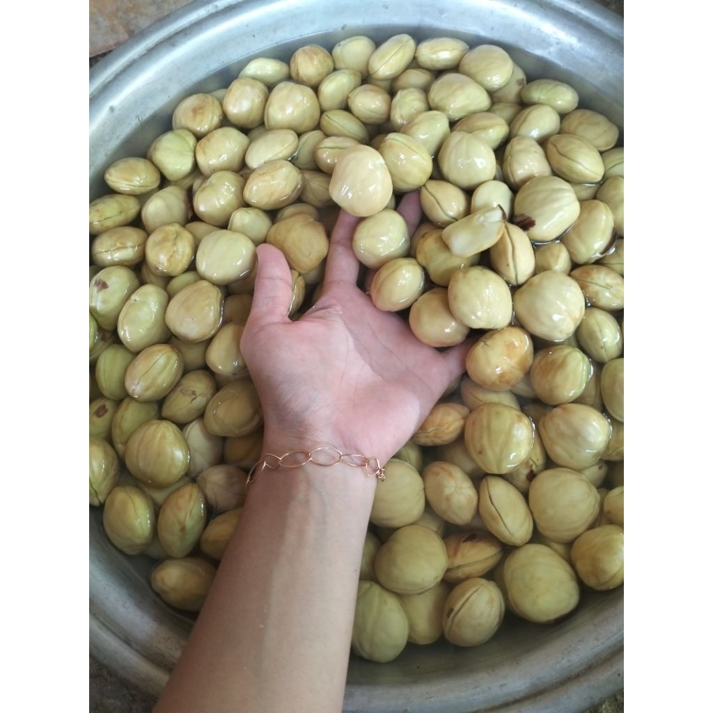 jengkol rebus Surabaya