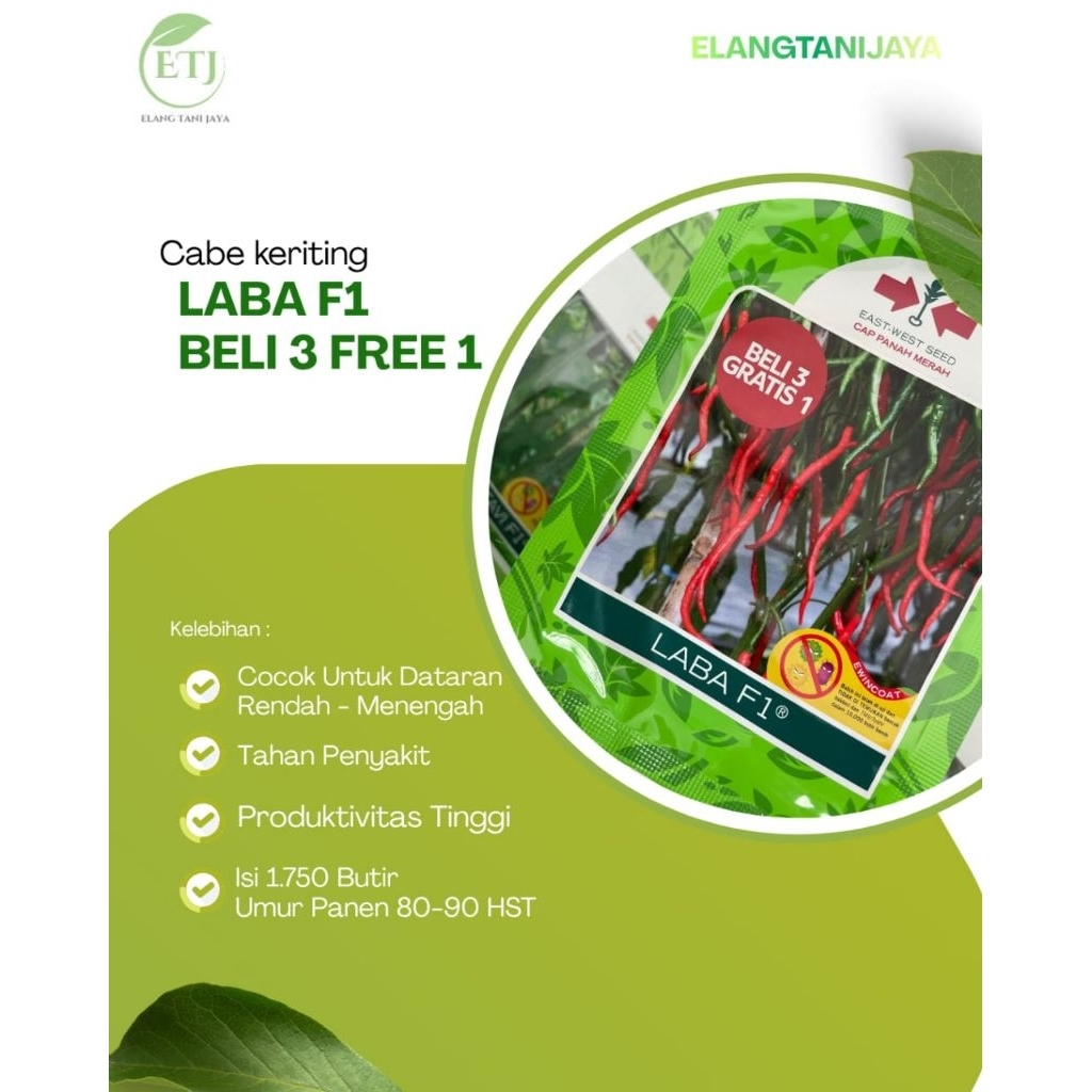 Bibit Laba Cabe Keriting Cap Panah Merah isi 1750 butir