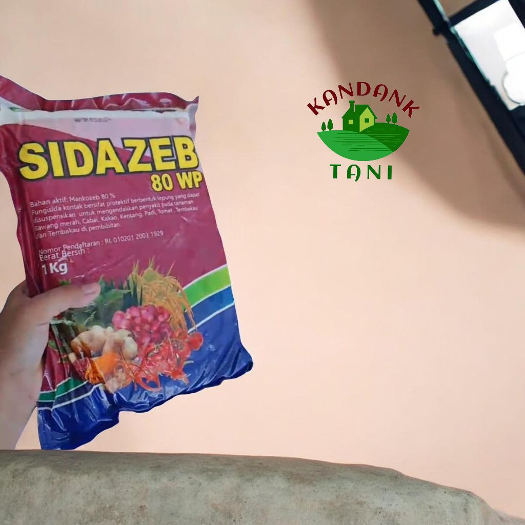 Sidazeb wp 80 bahan aktif mankozeb 80% obat busuk akar dan bercak daun