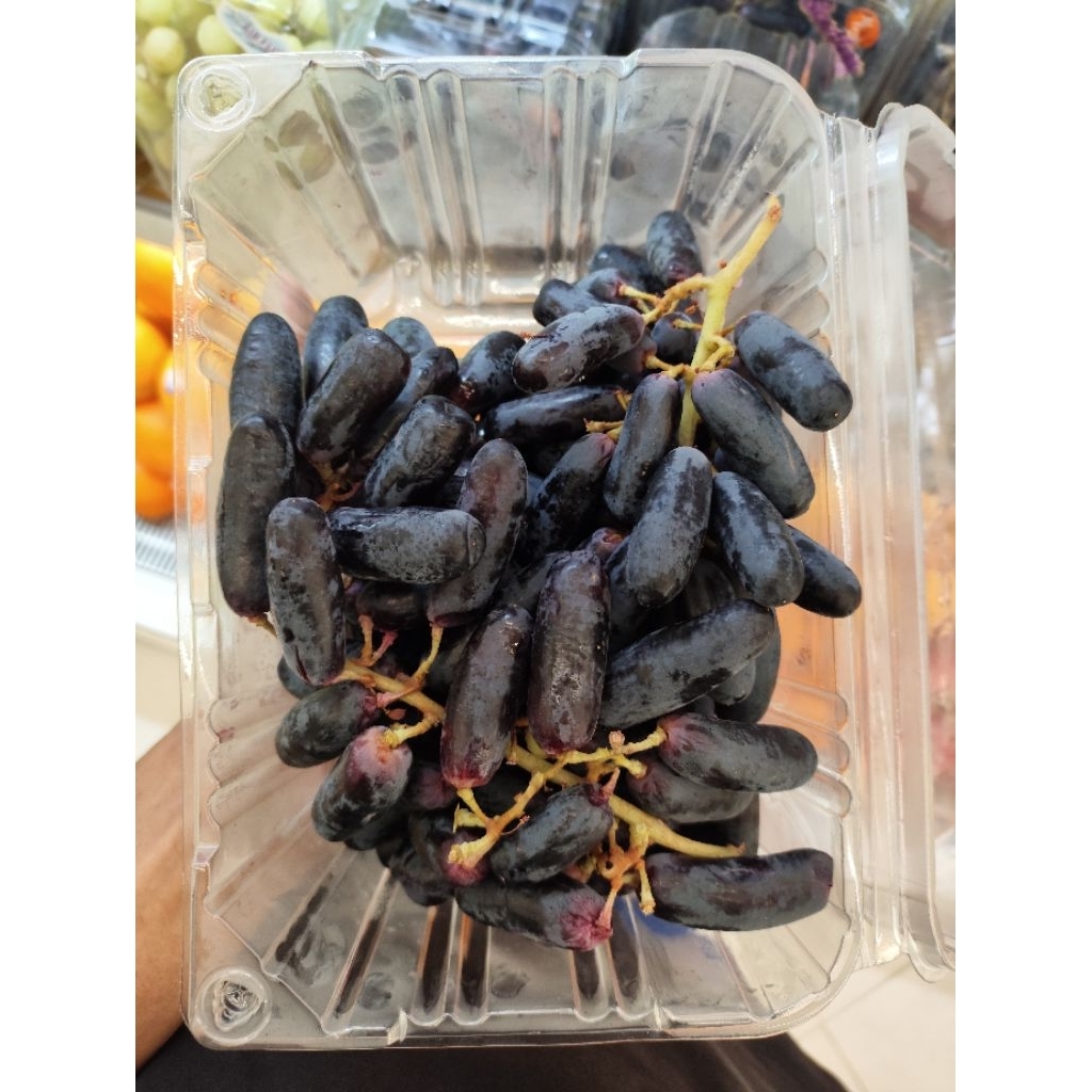 buah Anggur Moondrop Premium (Sweet Sapphire) – Manis & Tanpa Biji
